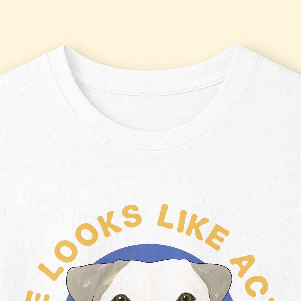 Long Sleeve Tee | FUNDRAISER | Underdogs of Philly