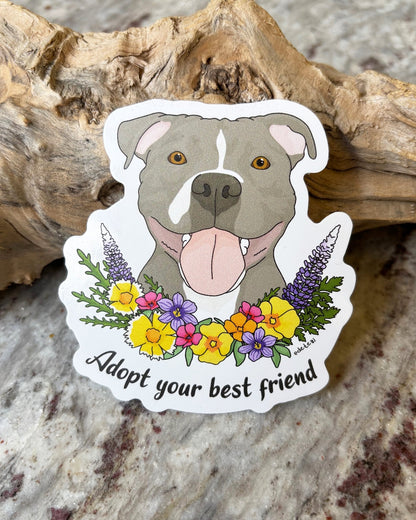 Adopt A Dog | Sticker Pack - Detezi Designs - 