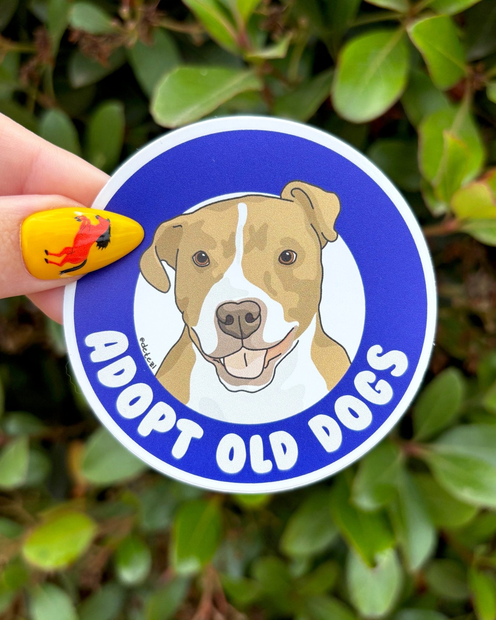 Adopt Old Dogs | Vinyl Sticker - Detezi Designs - 