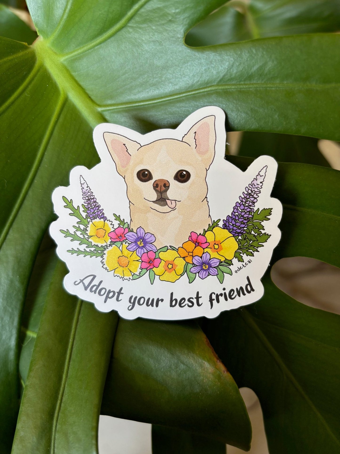 Adopt Your Best Friend | August 2025 Sticker Pack - Detezi Designs - 
