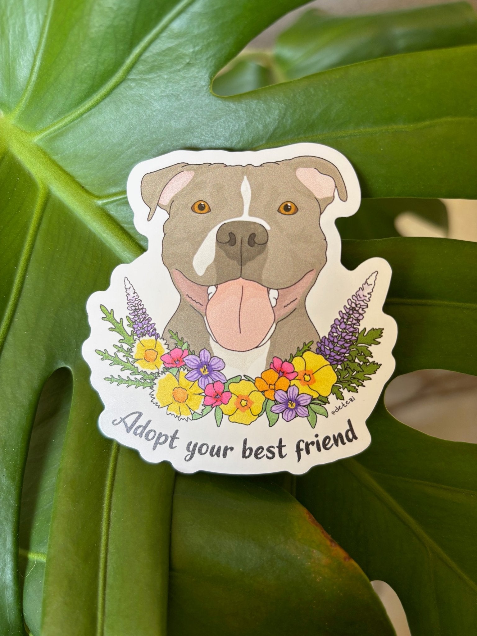 Adopt Your Best Friend | August 2025 Sticker Pack - Detezi Designs - 
