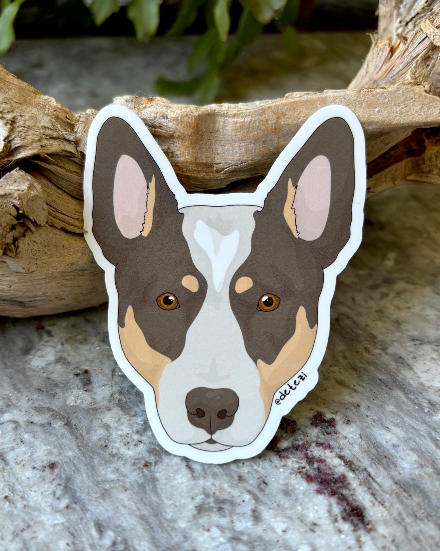 Australian Cattle Dog | Face Illustration | 3" Vinyl Sticker - Detezi Designs - 