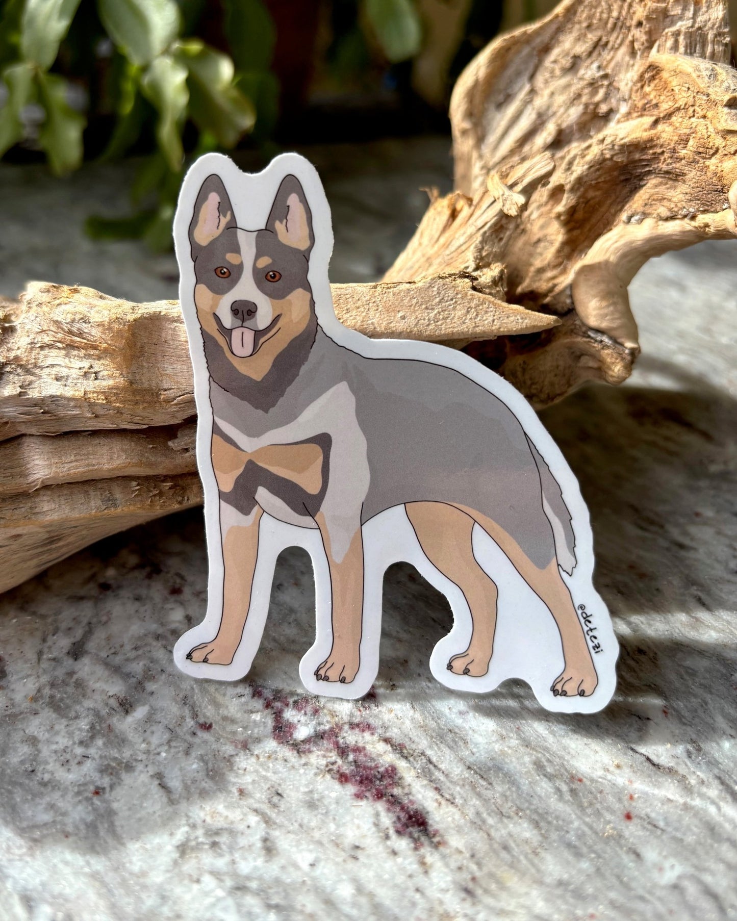 Australian Cattle Dog | Full Body Illustration | 3" Vinyl Sticker - Detezi Designs - 