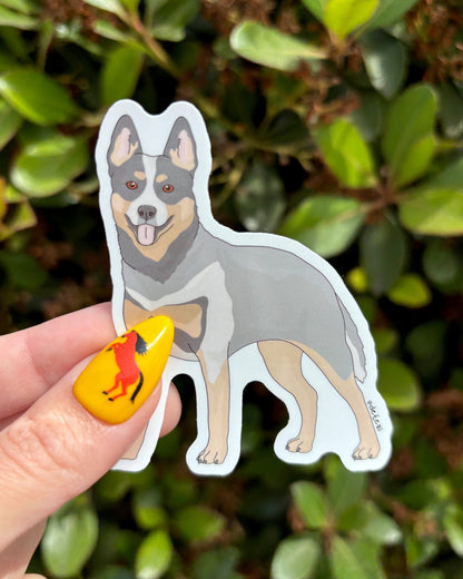 Australian Cattle Dog | Full Body Illustration | Vinyl Sticker - Detezi Designs - 