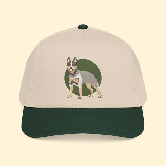 Baseball Cap | Australian Cattle Dog | Blue Heeler - Detezi Designs - 55577268689622666828