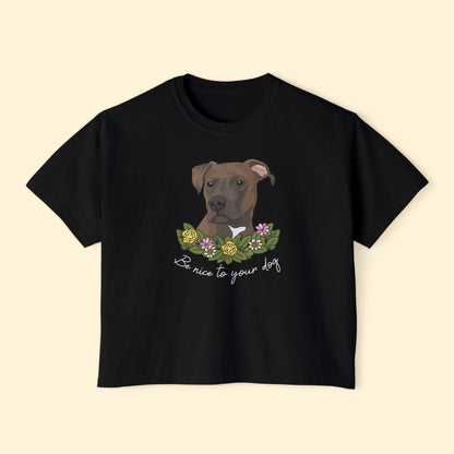 Be Nice To Your Dog | Comfort Colors Boxy Tee - Detezi Designs - 31195781919140167569