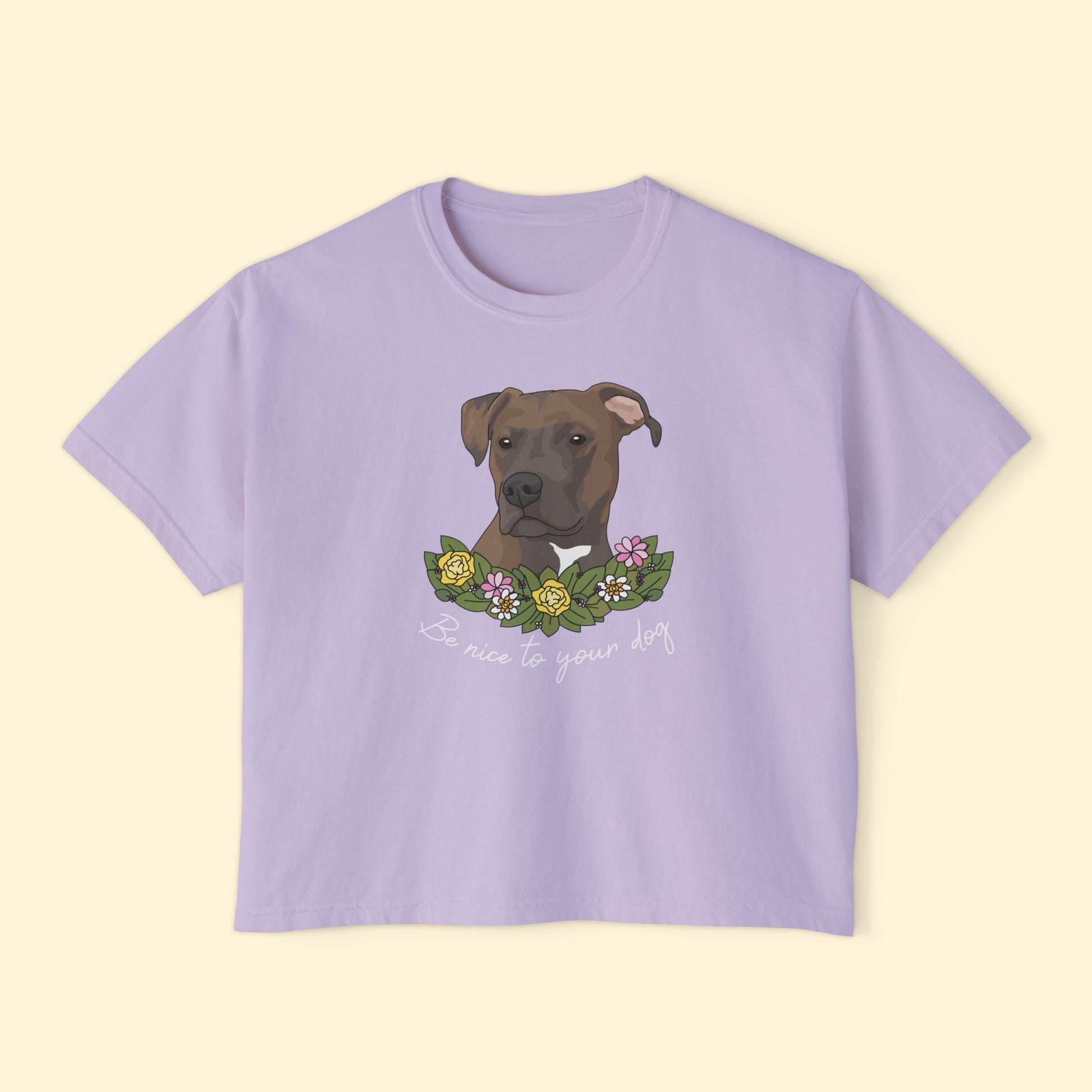 Be Nice To Your Dog | Comfort Colors Boxy Tee - Detezi Designs - 31927439561967596347