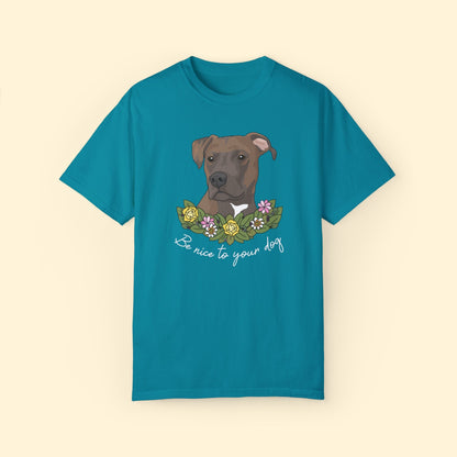 Be Nice To Your Dog | Comfort Colors Unisex T - shirt - Detezi Designs - 16942782191784616521