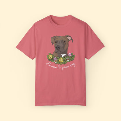 Be Nice To Your Dog | Comfort Colors Unisex T - shirt - Detezi Designs - 27552592352502792135