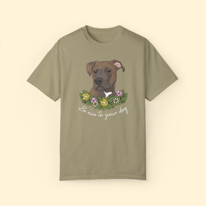 Be Nice To Your Dog | Comfort Colors Unisex T - shirt - Detezi Designs - 27563350038960983665