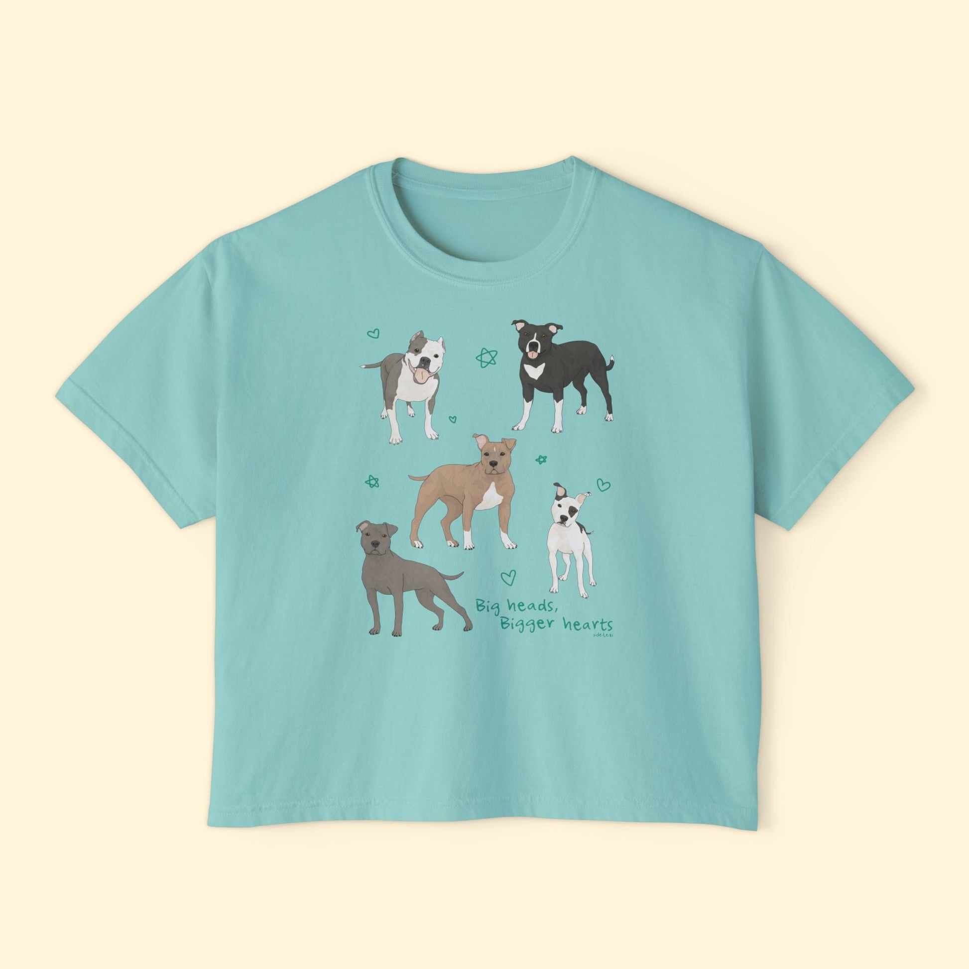 Big Heads, Bigger Hearts | Comfort Colors Boxy Tee - Detezi Designs - 23450016260184928326