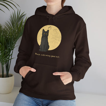 Black Cats Bring Good Luck | Hooded Sweatshirt - Detezi Designs - 31081166597737645950