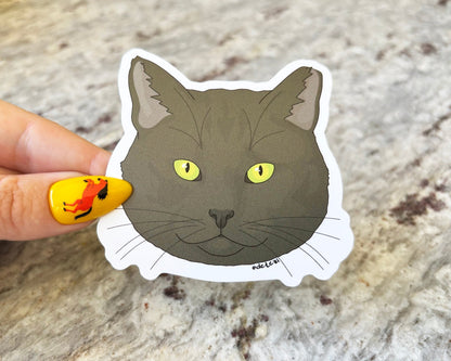 Black Tomcat | 3" Vinyl Sticker - Detezi Designs - 
