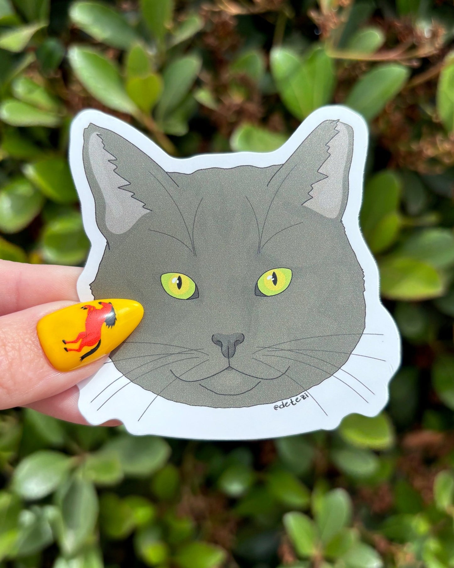 Black Tomcat | Vinyl Sticker - Detezi Designs - 