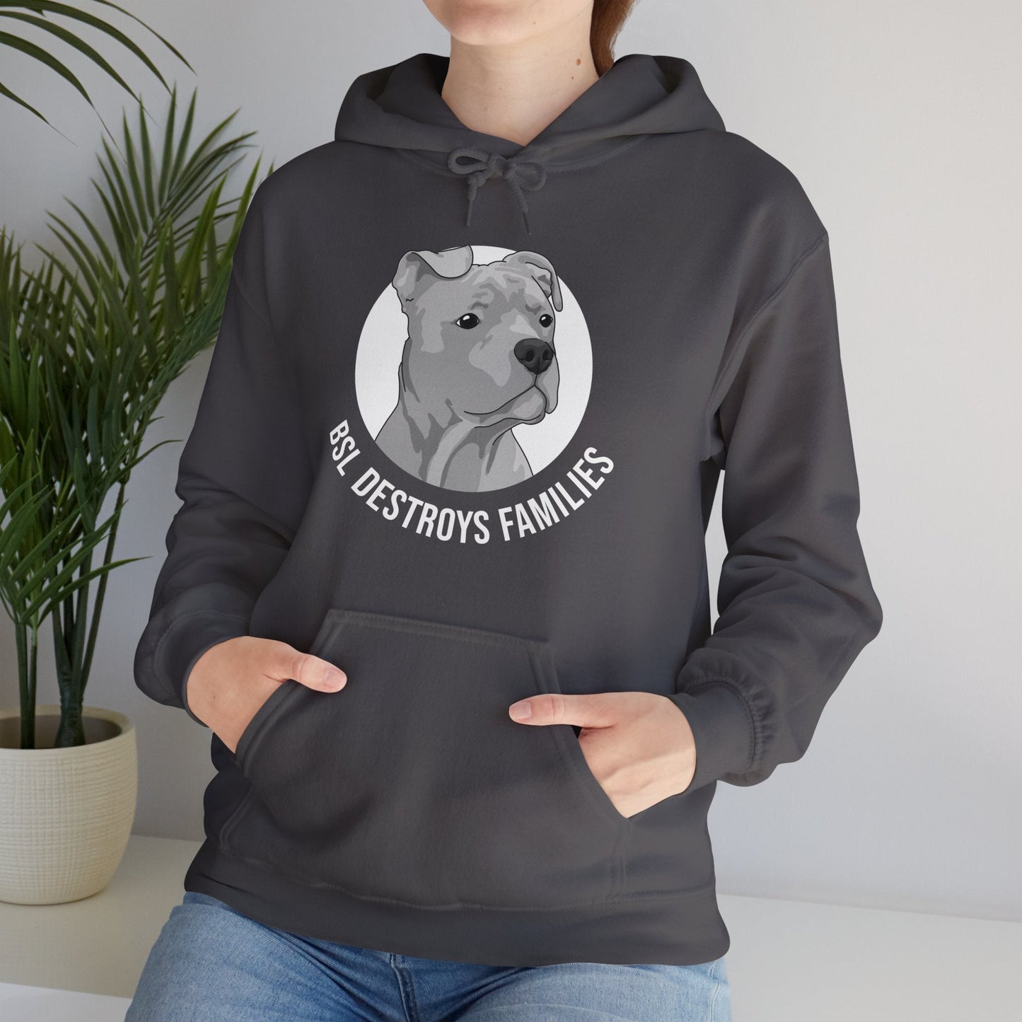 BSL Destroys Families | Hooded Sweatshirt - Detezi Designs - 11762301296185663785