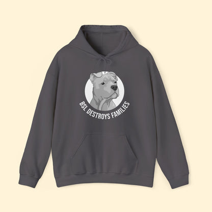 BSL Destroys Families | Hooded Sweatshirt - Detezi Designs - 60556337952801263498