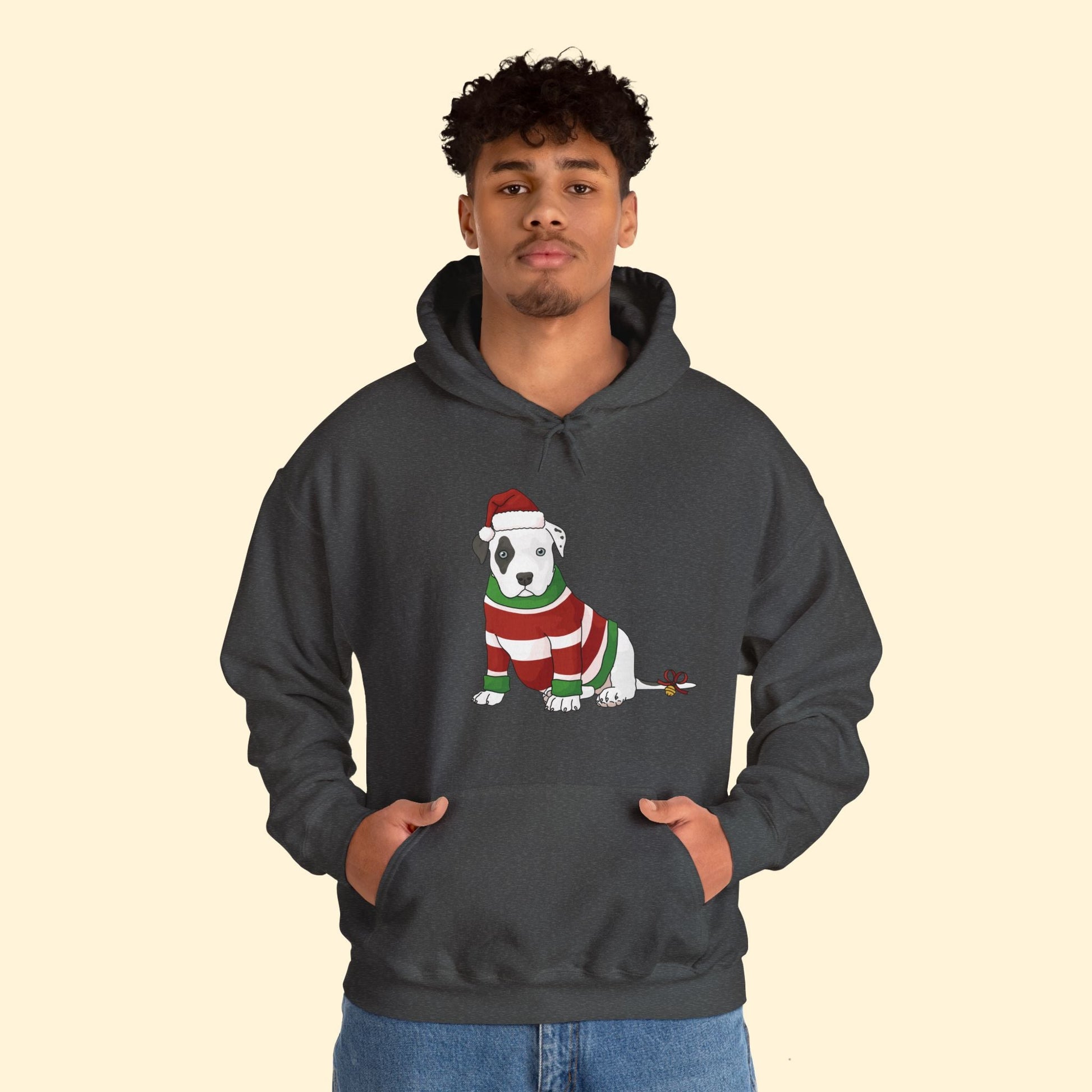 Christmas Puppy | Hooded Sweatshirt - Detezi Designs - 17165840426208927973