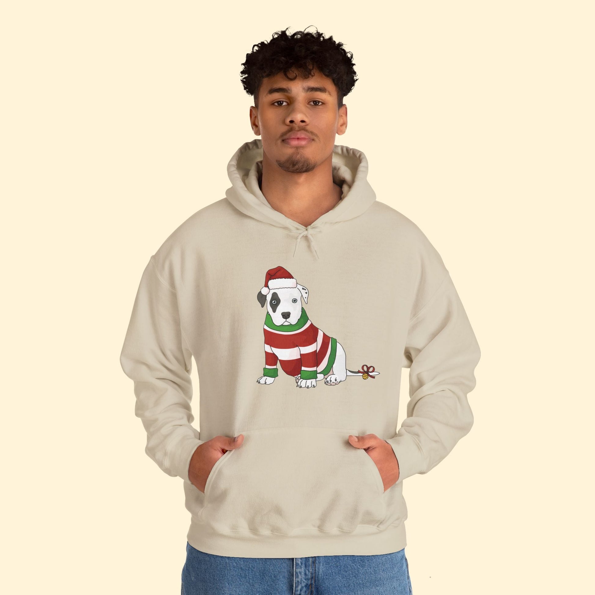 Christmas Puppy | Hooded Sweatshirt - Detezi Designs - 17165840426208927973