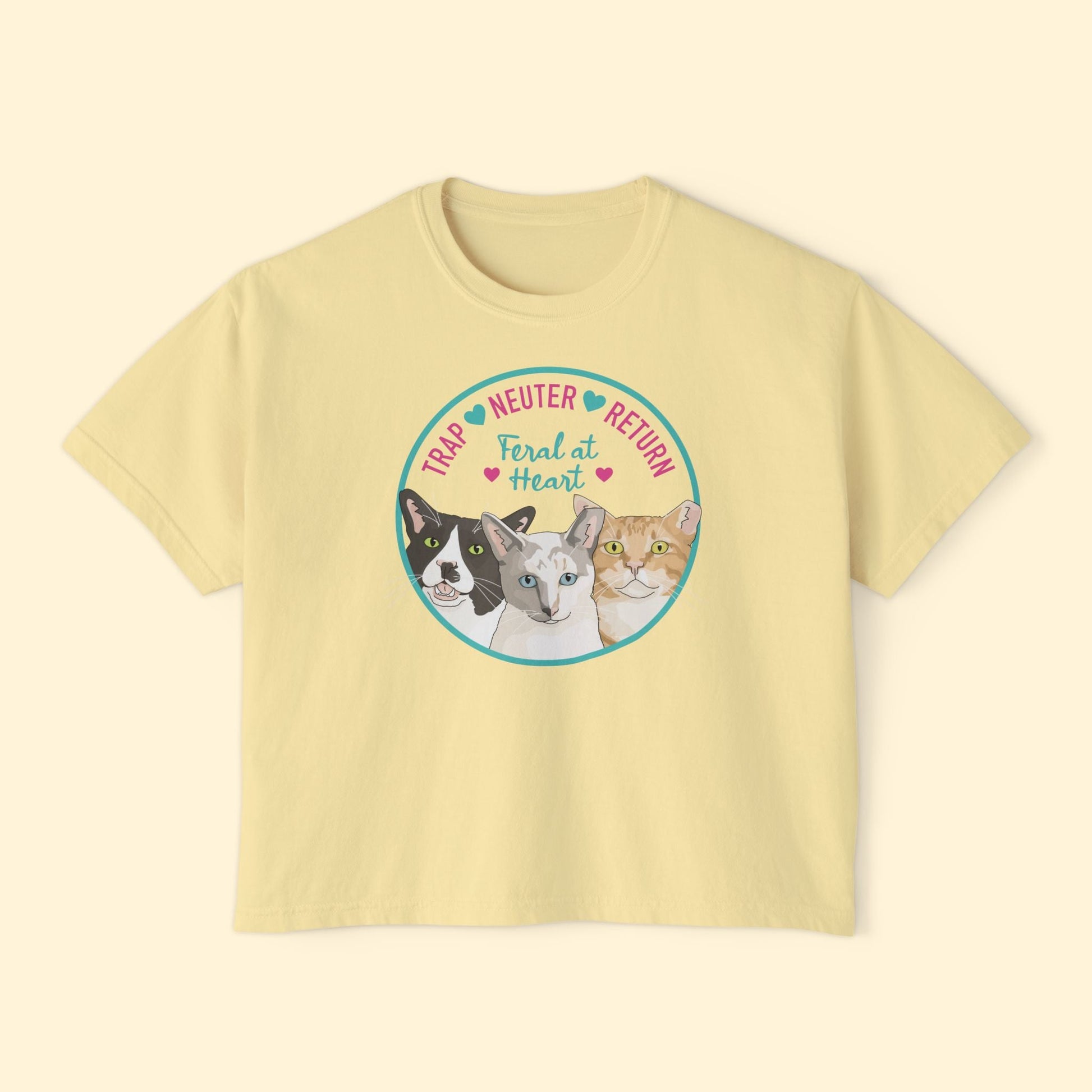 Circle of Kitties | FUNDRAISER for Feral At Heart | Comfort Colors Boxy Tee - Detezi Designs - 14955152121681756486