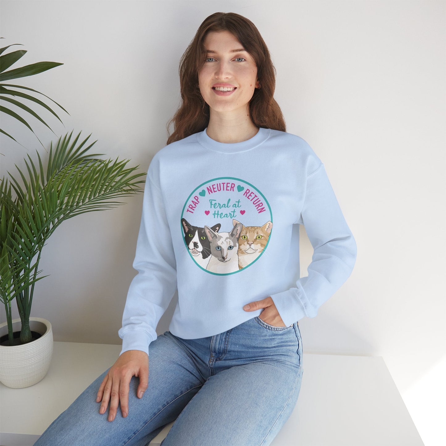 Circle of Kitties | FUNDRAISER for Feral At Heart | Crewneck Sweatshirt - Detezi Designs-76802304987813780156