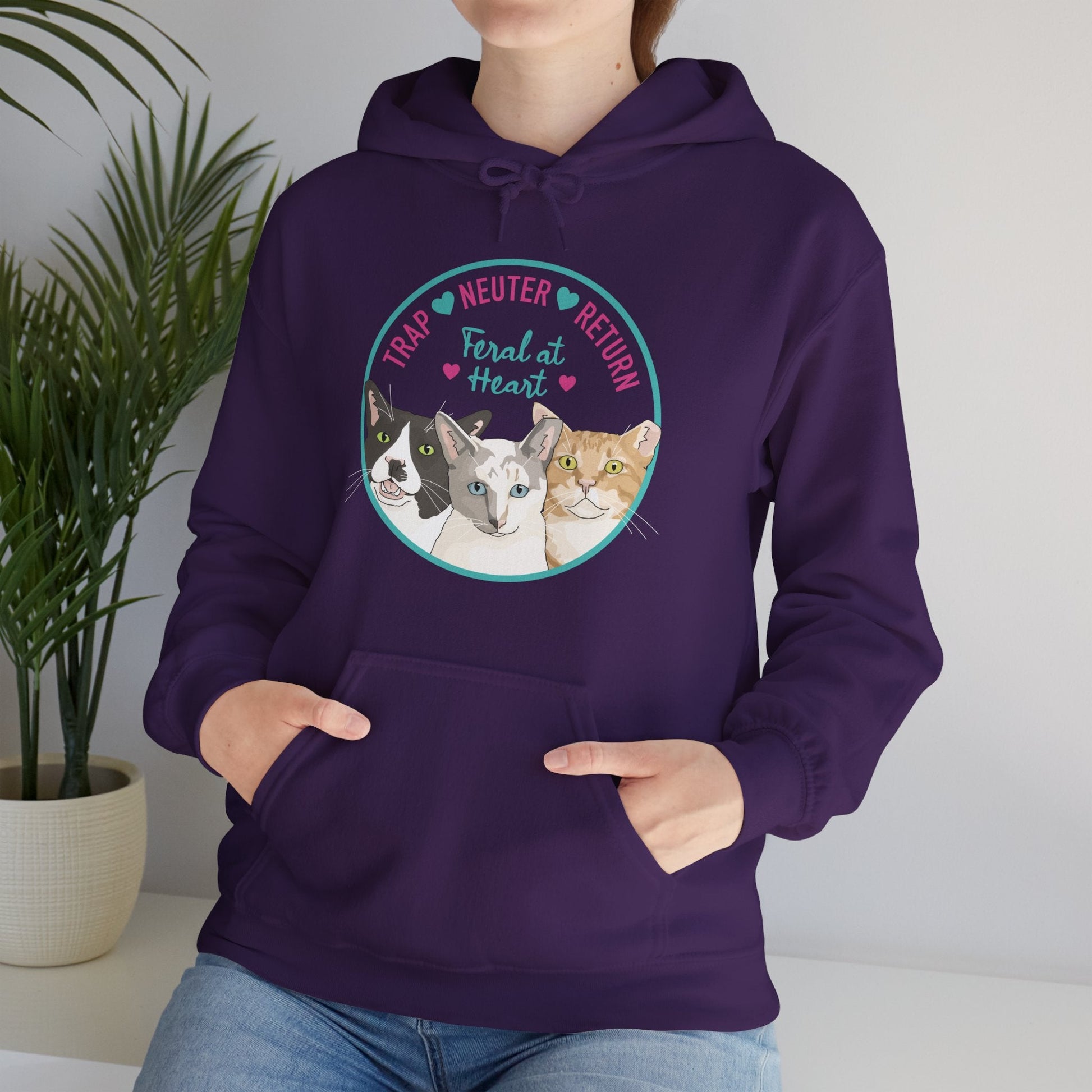 Circle of Kitties | FUNDRAISER for Feral At Heart | Hooded Sweatshirt - Detezi Designs - 19199213458107779256