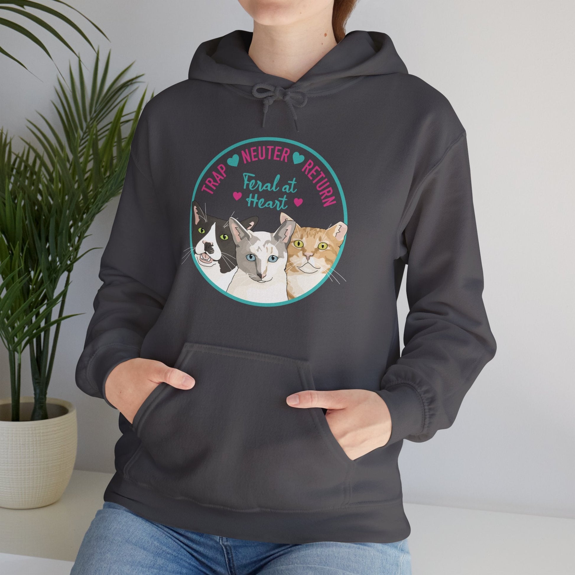 Circle of Kitties | FUNDRAISER for Feral At Heart | Hooded Sweatshirt - Detezi Designs-22855888924456185019