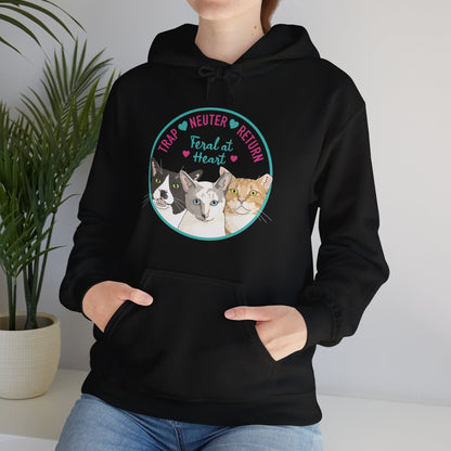 Circle of Kitties | FUNDRAISER for Feral At Heart | Hooded Sweatshirt - Detezi Designs-23446536954223180443