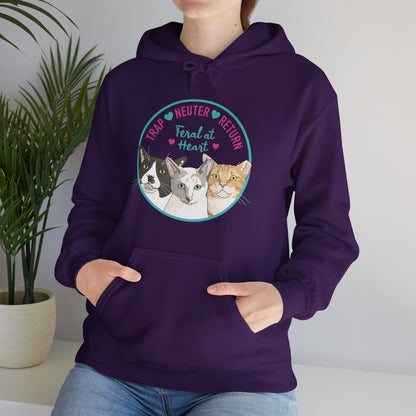 Circle of Kitties | FUNDRAISER for Feral At Heart | Hooded Sweatshirt - Detezi Designs-23446536954223180443