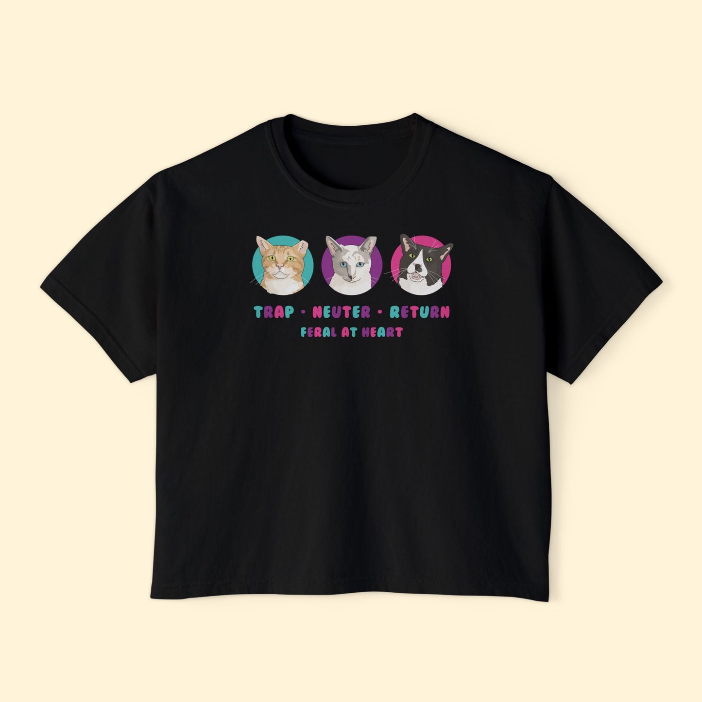 Colorful Kitties | FUNDRAISER for Feral At Heart | Comfort Colors Boxy Tee - Detezi Designs - 13235474159386900036