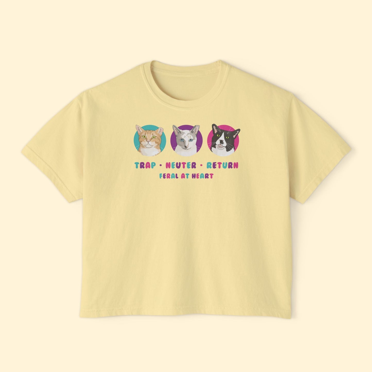 Colorful Kitties | FUNDRAISER for Feral At Heart | Comfort Colors Boxy Tee - Detezi Designs - 30224529331507140357