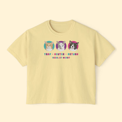 Colorful Kitties | FUNDRAISER for Feral At Heart | Comfort Colors Boxy Tee - Detezi Designs - 30224529331507140357