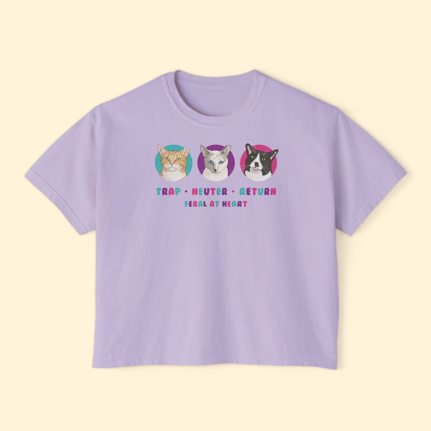 Colorful Kitties | FUNDRAISER for Feral At Heart | Comfort Colors Boxy Tee - Detezi Designs - 32971413519111862410