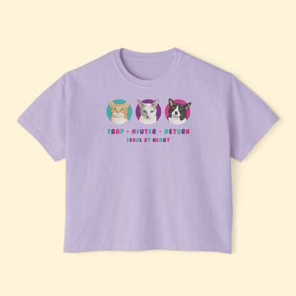 Colorful Kitties | FUNDRAISER for Feral At Heart | Comfort Colors Boxy Tee - Detezi Designs - 32971413519111862410