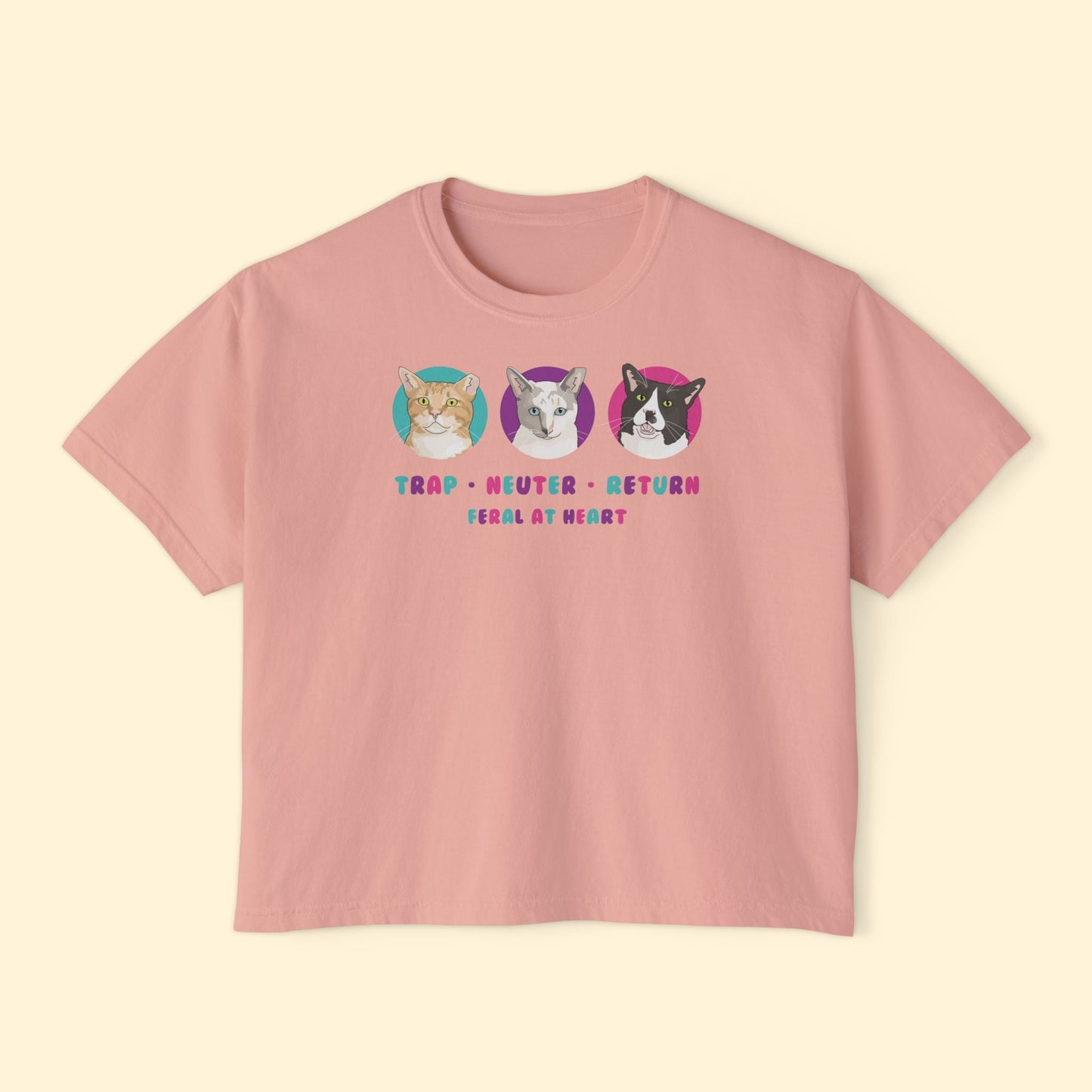 Colorful Kitties | FUNDRAISER for Feral At Heart | Comfort Colors Boxy Tee - Detezi Designs - 36027919289725591151