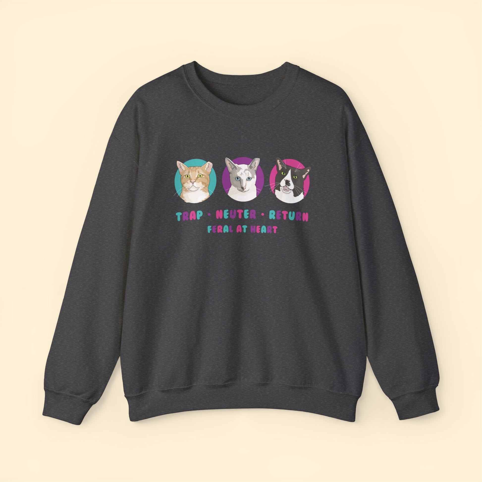 Colorful Kitties | FUNDRAISER for Feral At Heart | Crewneck Sweatshirt - Detezi Designs-10275396411006003559