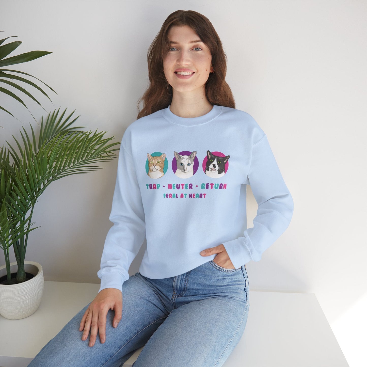 Colorful Kitties | FUNDRAISER for Feral At Heart | Crewneck Sweatshirt - Detezi Designs-10275396411006003559