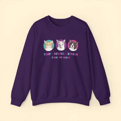 Colorful Kitties | FUNDRAISER for Feral At Heart | Crewneck Sweatshirt - Detezi Designs - 10295596712709558169