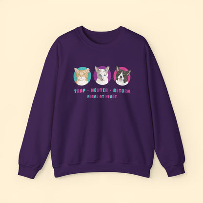 Colorful Kitties | FUNDRAISER for Feral At Heart | Crewneck Sweatshirt - Detezi Designs-10295596712709558169