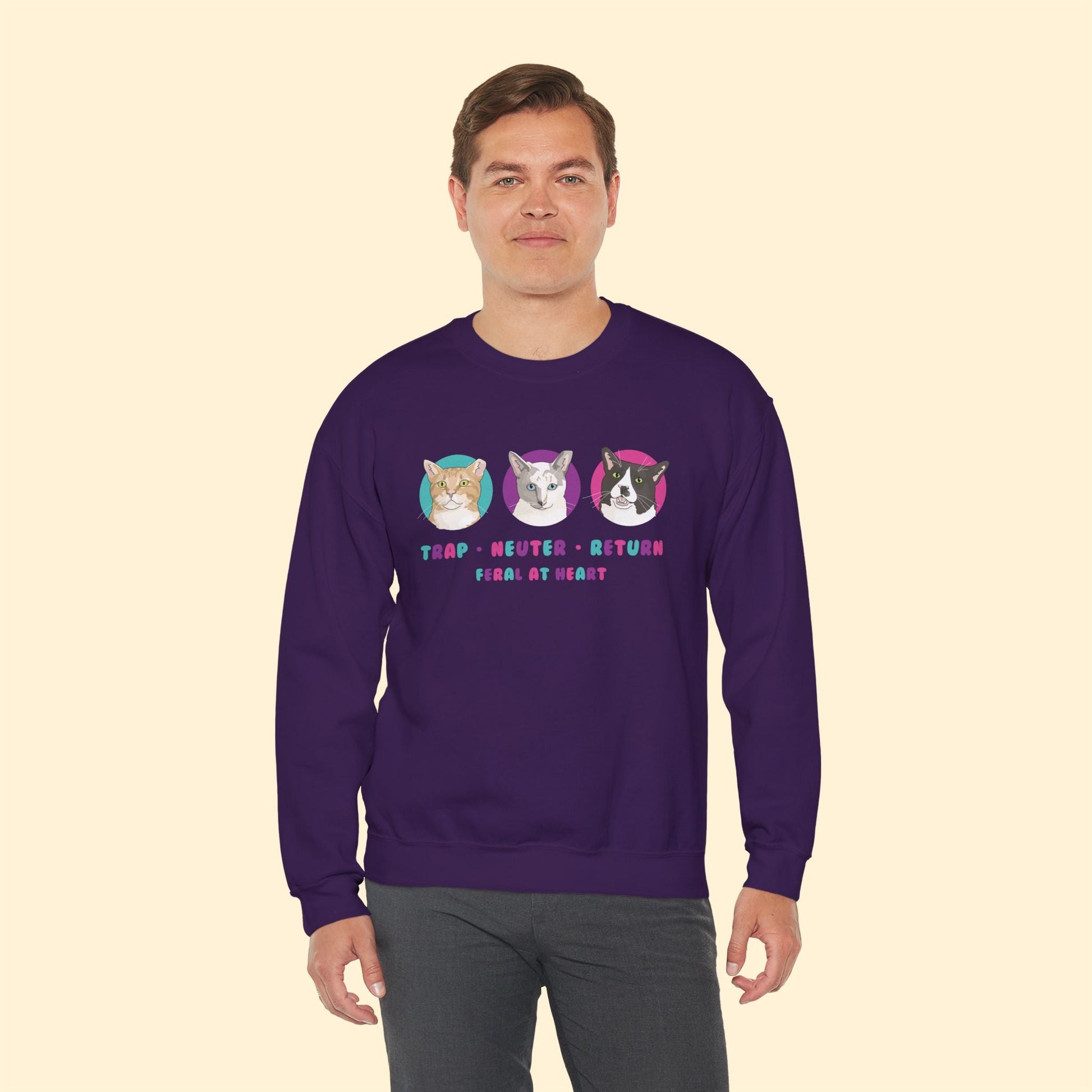 Colorful Kitties | FUNDRAISER for Feral At Heart | Crewneck Sweatshirt - Detezi Designs - 47599625423680023002