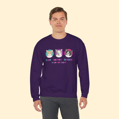 Colorful Kitties | FUNDRAISER for Feral At Heart | Crewneck Sweatshirt - Detezi Designs - 47599625423680023002