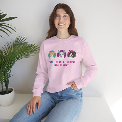 Colorful Kitties | FUNDRAISER for Feral At Heart | Crewneck Sweatshirt - Detezi Designs-56306090571879167107