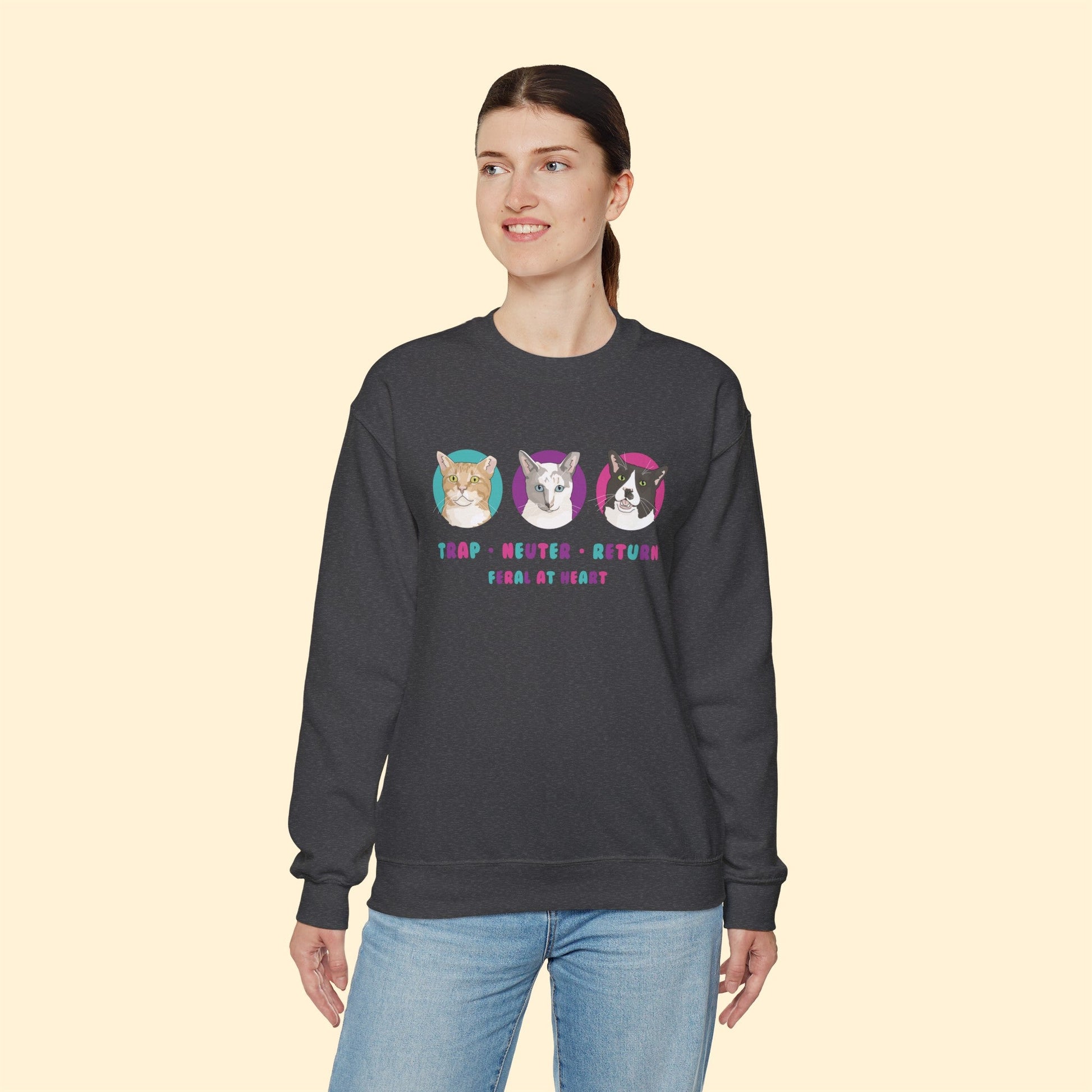 Colorful Kitties | FUNDRAISER for Feral At Heart | Crewneck Sweatshirt - Detezi Designs-56306090571879167107