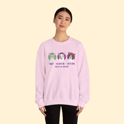 Colorful Kitties | FUNDRAISER for Feral At Heart | Crewneck Sweatshirt - Detezi Designs-56306090571879167107