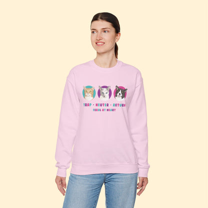 Colorful Kitties | FUNDRAISER for Feral At Heart | Crewneck Sweatshirt - Detezi Designs - 56306090571879167107