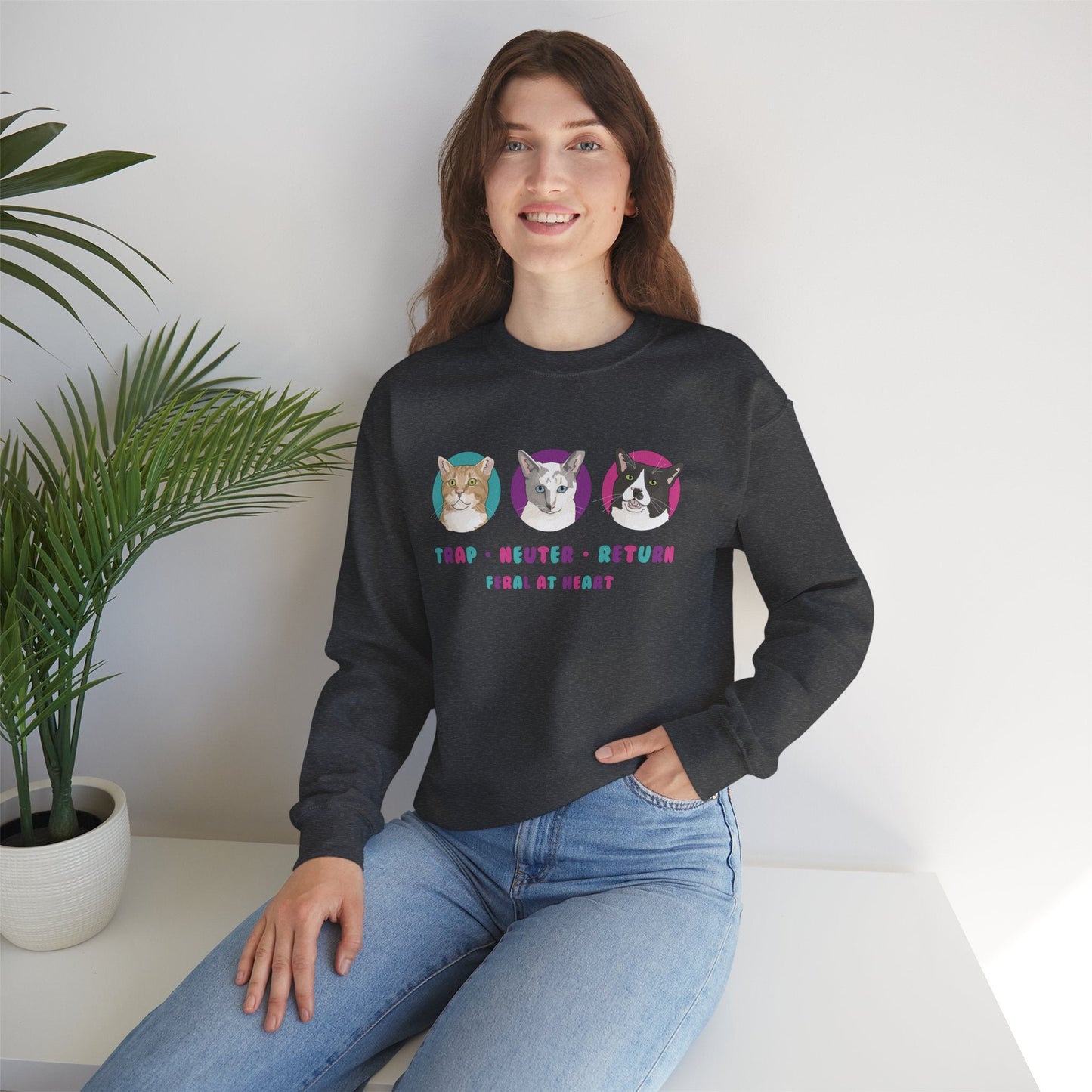 Colorful Kitties | FUNDRAISER for Feral At Heart | Crewneck Sweatshirt - Detezi Designs-56306090571879167107