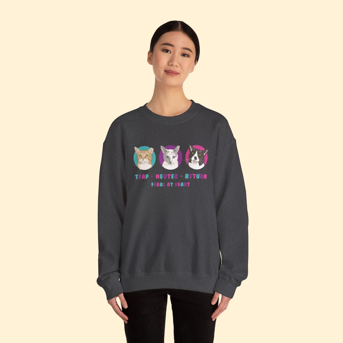 Colorful Kitties | FUNDRAISER for Feral At Heart | Crewneck Sweatshirt - Detezi Designs-56306090571879167107