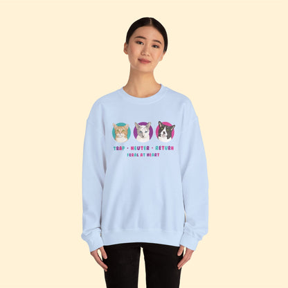 Colorful Kitties | FUNDRAISER for Feral At Heart | Crewneck Sweatshirt - Detezi Designs-56306090571879167107