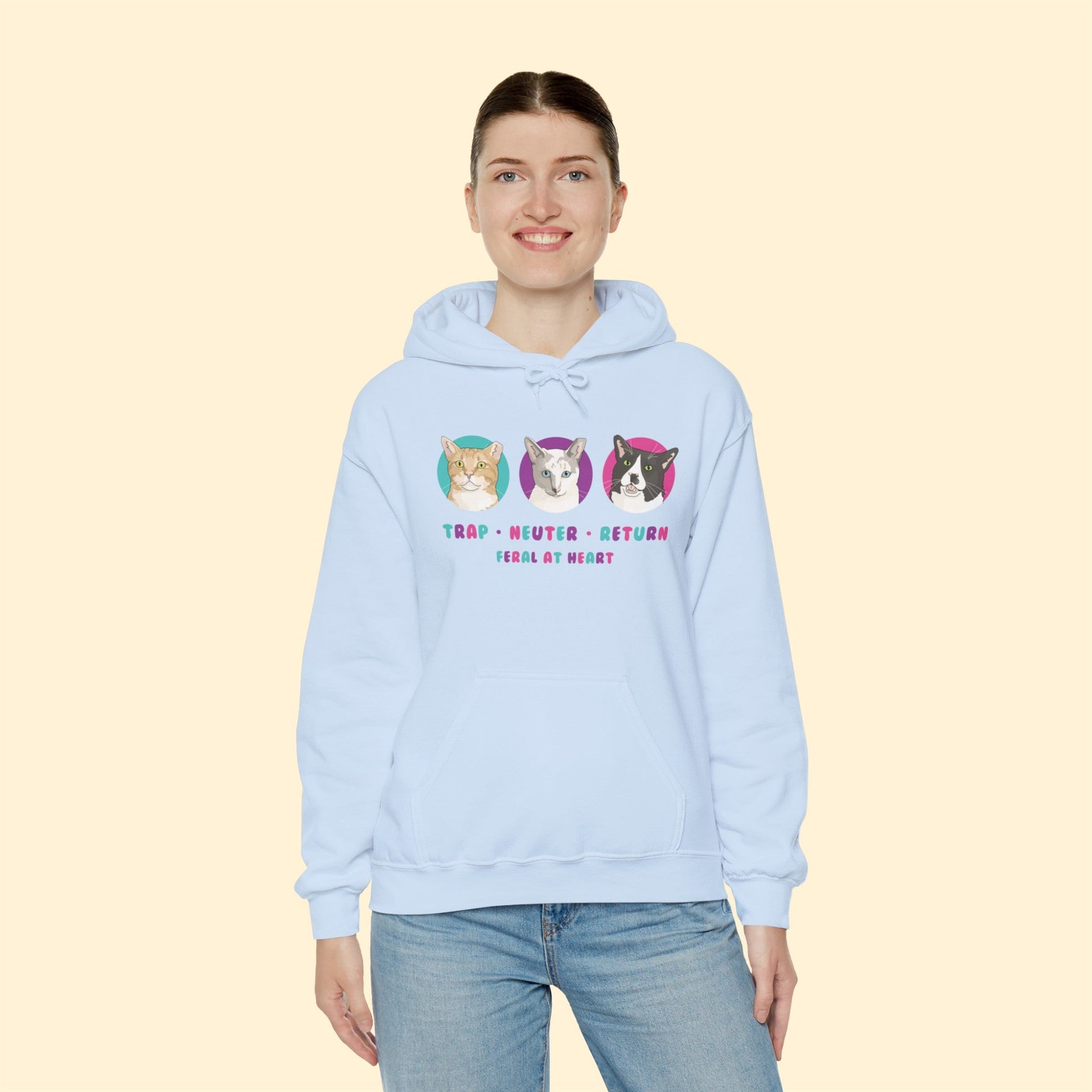 Colorful Kitties | FUNDRAISER for Feral At Heart | Hooded Sweatshirt - Detezi Designs-10322163244699682309