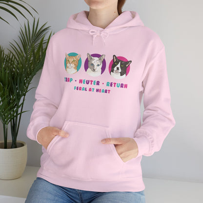 Colorful Kitties | FUNDRAISER for Feral At Heart | Hooded Sweatshirt - Detezi Designs-10322163244699682309