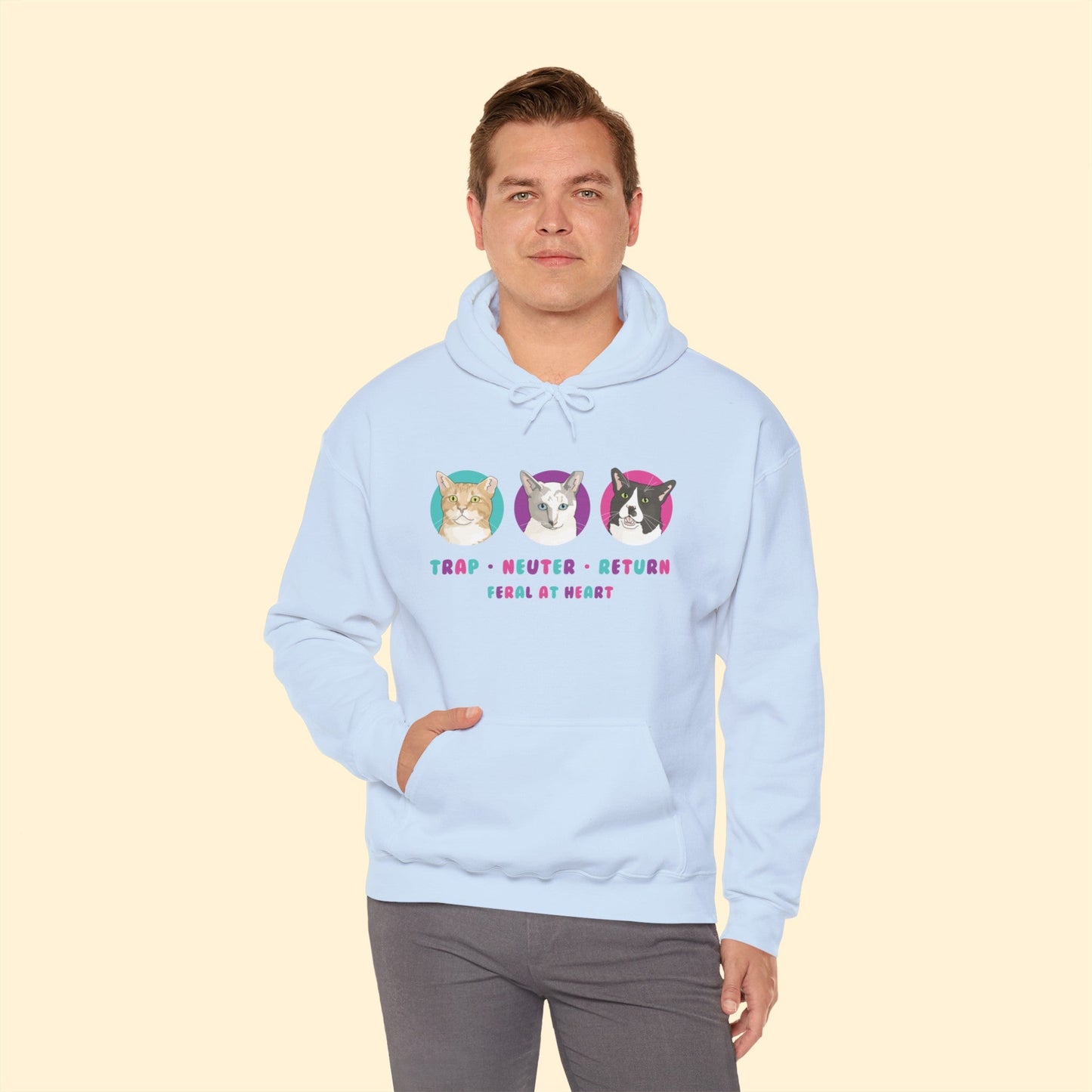 Colorful Kitties | FUNDRAISER for Feral At Heart | Hooded Sweatshirt - Detezi Designs-10322163244699682309